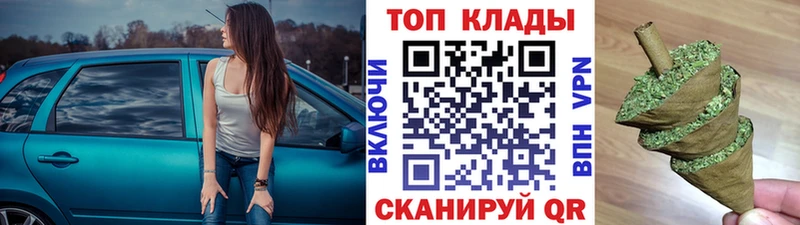 ГАШ Дмитров