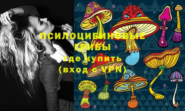 Альфа ПВП Алексеевка