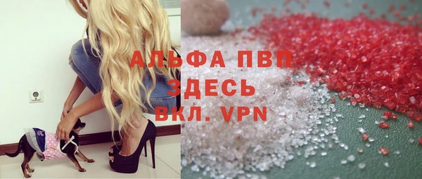 стафф Алзамай